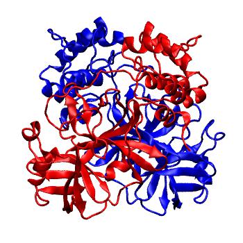 Structure preview of Folding@home molecular dynamics simulations of Diamond Light Source / XChem X-ray structures of small molecule inhibitors of the SARS-CoV-2 main protease from the COVID Moonshot; project 13437, run 19