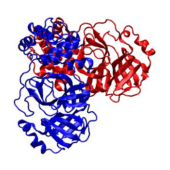 Structure preview of Folding@home molecular dynamics simulations of Diamond Light Source / XChem X-ray structures of small molecule inhibitors of the SARS-CoV-2 main protease from the COVID Moonshot; project 13437, run 201