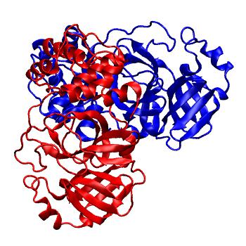 Structure preview of Folding@home molecular dynamics simulations of Diamond Light Source / XChem X-ray structures of small molecule inhibitors of the SARS-CoV-2 main protease from the COVID Moonshot; project 13437, run 202