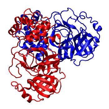 Structure preview of Folding@home molecular dynamics simulations of Diamond Light Source / XChem X-ray structures of small molecule inhibitors of the SARS-CoV-2 main protease from the COVID Moonshot; project 13437, run 204