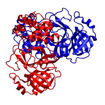Structure preview of Folding@home molecular dynamics simulations of Diamond Light Source / XChem X-ray structures of small molecule inhibitors of the SARS-CoV-2 main protease from the COVID Moonshot; project 13437, run 207