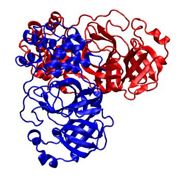 Structure preview of Folding@home molecular dynamics simulations of Diamond Light Source / XChem X-ray structures of small molecule inhibitors of the SARS-CoV-2 main protease from the COVID Moonshot; project 13437, run 209