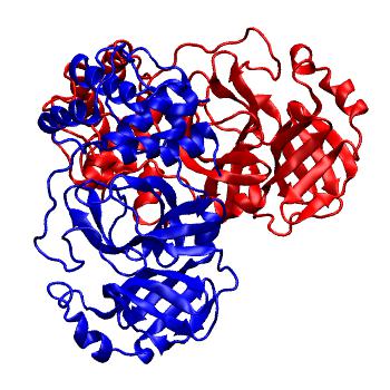 Structure preview of Folding@home molecular dynamics simulations of Diamond Light Source / XChem X-ray structures of small molecule inhibitors of the SARS-CoV-2 main protease from the COVID Moonshot; project 13437, run 210