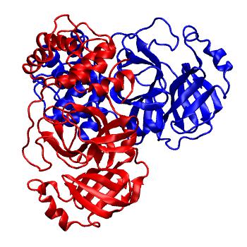 Structure preview of Folding@home molecular dynamics simulations of Diamond Light Source / XChem X-ray structures of small molecule inhibitors of the SARS-CoV-2 main protease from the COVID Moonshot; project 13437, run 212