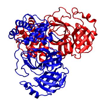Structure preview of Folding@home molecular dynamics simulations of Diamond Light Source / XChem X-ray structures of small molecule inhibitors of the SARS-CoV-2 main protease from the COVID Moonshot; project 13437, run 213