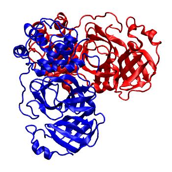 Structure preview of Folding@home molecular dynamics simulations of Diamond Light Source / XChem X-ray structures of small molecule inhibitors of the SARS-CoV-2 main protease from the COVID Moonshot; project 13437, run 214