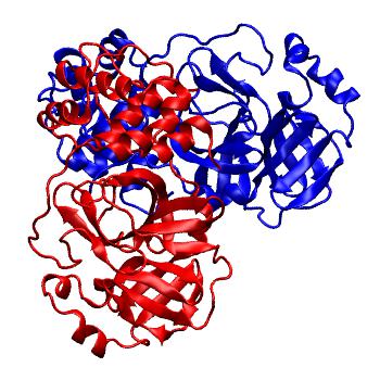 Structure preview of Folding@home molecular dynamics simulations of Diamond Light Source / XChem X-ray structures of small molecule inhibitors of the SARS-CoV-2 main protease from the COVID Moonshot; project 13437, run 215