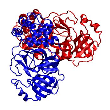 Structure preview of Folding@home molecular dynamics simulations of Diamond Light Source / XChem X-ray structures of small molecule inhibitors of the SARS-CoV-2 main protease from the COVID Moonshot; project 13437, run 217
