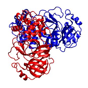 Structure preview of Folding@home molecular dynamics simulations of Diamond Light Source / XChem X-ray structures of small molecule inhibitors of the SARS-CoV-2 main protease from the COVID Moonshot; project 13437, run 219