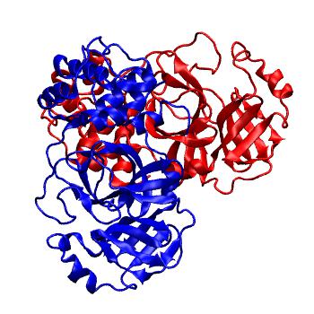 Structure preview of Folding@home molecular dynamics simulations of Diamond Light Source / XChem X-ray structures of small molecule inhibitors of the SARS-CoV-2 main protease from the COVID Moonshot; project 13437, run 21