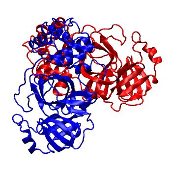 Structure preview of Folding@home molecular dynamics simulations of Diamond Light Source / XChem X-ray structures of small molecule inhibitors of the SARS-CoV-2 main protease from the COVID Moonshot; project 13437, run 220