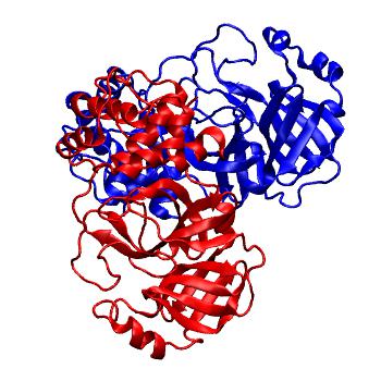 Structure preview of Folding@home molecular dynamics simulations of Diamond Light Source / XChem X-ray structures of small molecule inhibitors of the SARS-CoV-2 main protease from the COVID Moonshot; project 13437, run 221