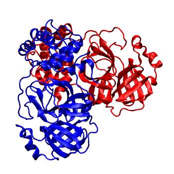 Structure preview of Folding@home molecular dynamics simulations of Diamond Light Source / XChem X-ray structures of small molecule inhibitors of the SARS-CoV-2 main protease from the COVID Moonshot; project 13437, run 222