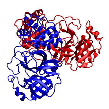 Structure preview of Folding@home molecular dynamics simulations of Diamond Light Source / XChem X-ray structures of small molecule inhibitors of the SARS-CoV-2 main protease from the COVID Moonshot; project 13437, run 225