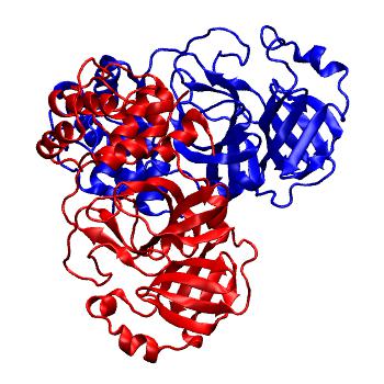 Structure preview of Folding@home molecular dynamics simulations of Diamond Light Source / XChem X-ray structures of small molecule inhibitors of the SARS-CoV-2 main protease from the COVID Moonshot; project 13437, run 227