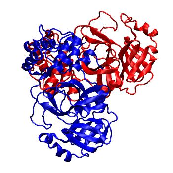 Structure preview of Folding@home molecular dynamics simulations of Diamond Light Source / XChem X-ray structures of small molecule inhibitors of the SARS-CoV-2 main protease from the COVID Moonshot; project 13437, run 229