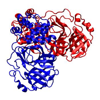 Structure preview of Folding@home molecular dynamics simulations of Diamond Light Source / XChem X-ray structures of small molecule inhibitors of the SARS-CoV-2 main protease from the COVID Moonshot; project 13437, run 231