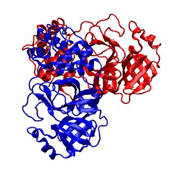 Structure preview of Folding@home molecular dynamics simulations of Diamond Light Source / XChem X-ray structures of small molecule inhibitors of the SARS-CoV-2 main protease from the COVID Moonshot; project 13437, run 234