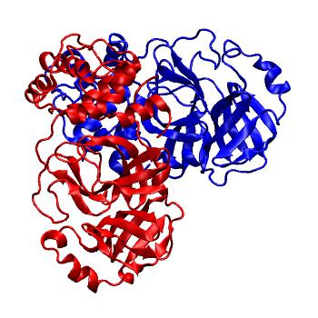 Structure preview of Folding@home molecular dynamics simulations of Diamond Light Source / XChem X-ray structures of small molecule inhibitors of the SARS-CoV-2 main protease from the COVID Moonshot; project 13437, run 235
