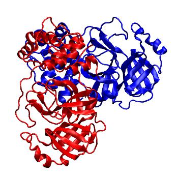 Structure preview of Folding@home molecular dynamics simulations of Diamond Light Source / XChem X-ray structures of small molecule inhibitors of the SARS-CoV-2 main protease from the COVID Moonshot; project 13437, run 237