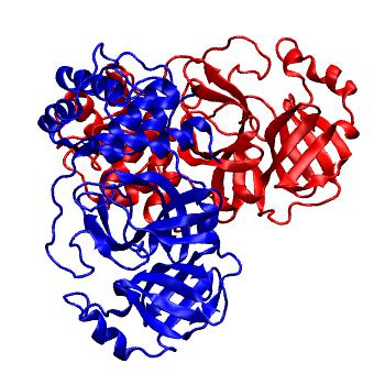 Structure preview of Folding@home molecular dynamics simulations of Diamond Light Source / XChem X-ray structures of small molecule inhibitors of the SARS-CoV-2 main protease from the COVID Moonshot; project 13437, run 238