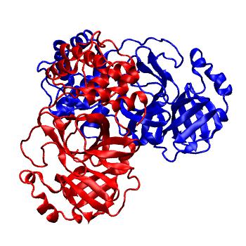 Structure preview of Folding@home molecular dynamics simulations of Diamond Light Source / XChem X-ray structures of small molecule inhibitors of the SARS-CoV-2 main protease from the COVID Moonshot; project 13437, run 241