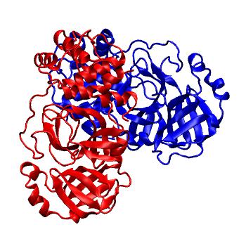 Structure preview of Folding@home molecular dynamics simulations of Diamond Light Source / XChem X-ray structures of small molecule inhibitors of the SARS-CoV-2 main protease from the COVID Moonshot; project 13437, run 242
