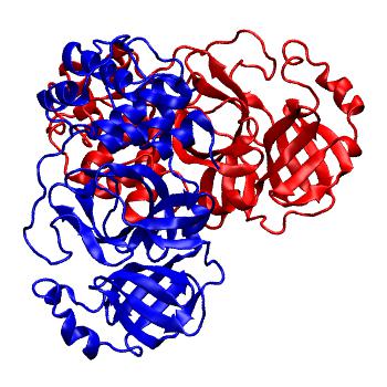 Structure preview of Folding@home molecular dynamics simulations of Diamond Light Source / XChem X-ray structures of small molecule inhibitors of the SARS-CoV-2 main protease from the COVID Moonshot; project 13437, run 245
