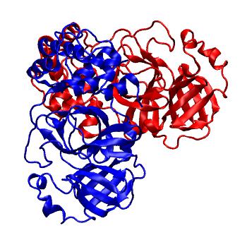Structure preview of Folding@home molecular dynamics simulations of Diamond Light Source / XChem X-ray structures of small molecule inhibitors of the SARS-CoV-2 main protease from the COVID Moonshot; project 13437, run 247