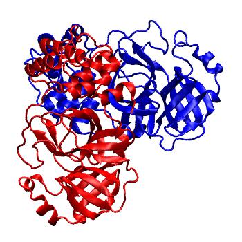 Structure preview of Folding@home molecular dynamics simulations of Diamond Light Source / XChem X-ray structures of small molecule inhibitors of the SARS-CoV-2 main protease from the COVID Moonshot; project 13437, run 250