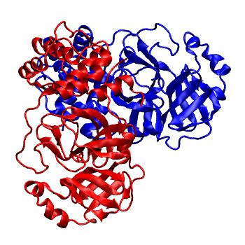 Structure preview of Folding@home molecular dynamics simulations of Diamond Light Source / XChem X-ray structures of small molecule inhibitors of the SARS-CoV-2 main protease from the COVID Moonshot; project 13437, run 251