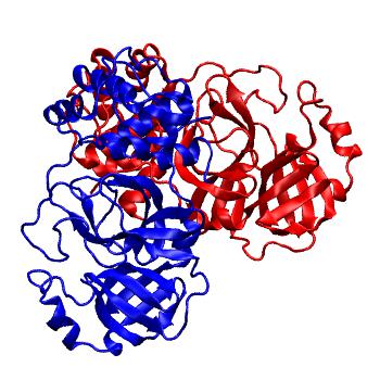 Structure preview of Folding@home molecular dynamics simulations of Diamond Light Source / XChem X-ray structures of small molecule inhibitors of the SARS-CoV-2 main protease from the COVID Moonshot; project 13437, run 253