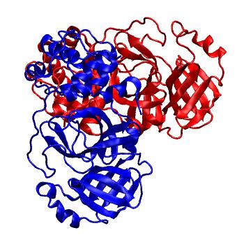 Structure preview of Folding@home molecular dynamics simulations of Diamond Light Source / XChem X-ray structures of small molecule inhibitors of the SARS-CoV-2 main protease from the COVID Moonshot; project 13437, run 274