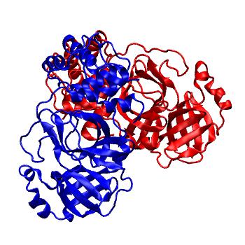 Structure preview of Folding@home molecular dynamics simulations of Diamond Light Source / XChem X-ray structures of small molecule inhibitors of the SARS-CoV-2 main protease from the COVID Moonshot; project 13437, run 275