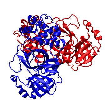 Structure preview of Folding@home molecular dynamics simulations of Diamond Light Source / XChem X-ray structures of small molecule inhibitors of the SARS-CoV-2 main protease from the COVID Moonshot; project 13437, run 276