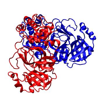 Structure preview of Folding@home molecular dynamics simulations of Diamond Light Source / XChem X-ray structures of small molecule inhibitors of the SARS-CoV-2 main protease from the COVID Moonshot; project 13437, run 279
