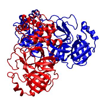 Structure preview of Folding@home molecular dynamics simulations of Diamond Light Source / XChem X-ray structures of small molecule inhibitors of the SARS-CoV-2 main protease from the COVID Moonshot; project 13437, run 27