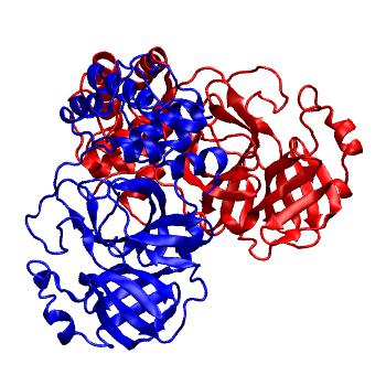 Structure preview of Folding@home molecular dynamics simulations of Diamond Light Source / XChem X-ray structures of small molecule inhibitors of the SARS-CoV-2 main protease from the COVID Moonshot; project 13437, run 280