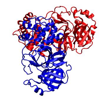 Structure preview of Folding@home molecular dynamics simulations of Diamond Light Source / XChem X-ray structures of small molecule inhibitors of the SARS-CoV-2 main protease from the COVID Moonshot; project 13437, run 283