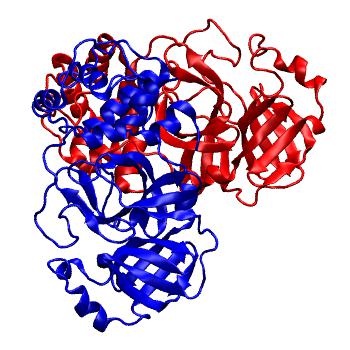 Structure preview of Folding@home molecular dynamics simulations of Diamond Light Source / XChem X-ray structures of small molecule inhibitors of the SARS-CoV-2 main protease from the COVID Moonshot; project 13437, run 286