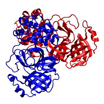 Structure preview of Folding@home molecular dynamics simulations of Diamond Light Source / XChem X-ray structures of small molecule inhibitors of the SARS-CoV-2 main protease from the COVID Moonshot; project 13437, run 287