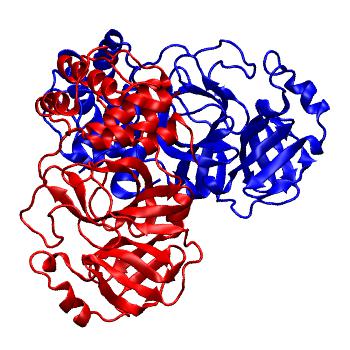 Structure preview of Folding@home molecular dynamics simulations of Diamond Light Source / XChem X-ray structures of small molecule inhibitors of the SARS-CoV-2 main protease from the COVID Moonshot; project 13437, run 289