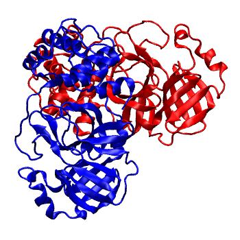 Structure preview of Folding@home molecular dynamics simulations of Diamond Light Source / XChem X-ray structures of small molecule inhibitors of the SARS-CoV-2 main protease from the COVID Moonshot; project 13437, run 28