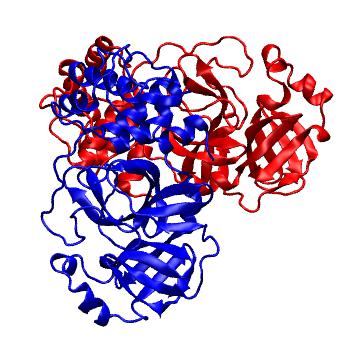 Structure preview of Folding@home molecular dynamics simulations of Diamond Light Source / XChem X-ray structures of small molecule inhibitors of the SARS-CoV-2 main protease from the COVID Moonshot; project 13437, run 290