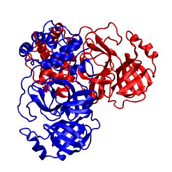 Structure preview of Folding@home molecular dynamics simulations of Diamond Light Source / XChem X-ray structures of small molecule inhibitors of the SARS-CoV-2 main protease from the COVID Moonshot; project 13437, run 292