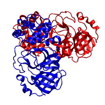 Structure preview of Folding@home molecular dynamics simulations of Diamond Light Source / XChem X-ray structures of small molecule inhibitors of the SARS-CoV-2 main protease from the COVID Moonshot; project 13437, run 293