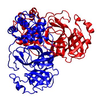 Structure preview of Folding@home molecular dynamics simulations of Diamond Light Source / XChem X-ray structures of small molecule inhibitors of the SARS-CoV-2 main protease from the COVID Moonshot; project 13437, run 295