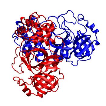 Structure preview of Folding@home molecular dynamics simulations of Diamond Light Source / XChem X-ray structures of small molecule inhibitors of the SARS-CoV-2 main protease from the COVID Moonshot; project 13437, run 296