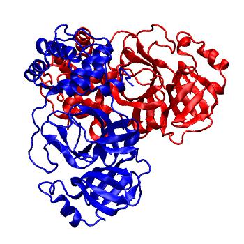 Structure preview of Folding@home molecular dynamics simulations of Diamond Light Source / XChem X-ray structures of small molecule inhibitors of the SARS-CoV-2 main protease from the COVID Moonshot; project 13437, run 297