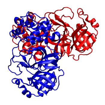 Structure preview of Folding@home molecular dynamics simulations of Diamond Light Source / XChem X-ray structures of small molecule inhibitors of the SARS-CoV-2 main protease from the COVID Moonshot; project 13437, run 298